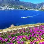 Gorgona * Livadi (Serifos)