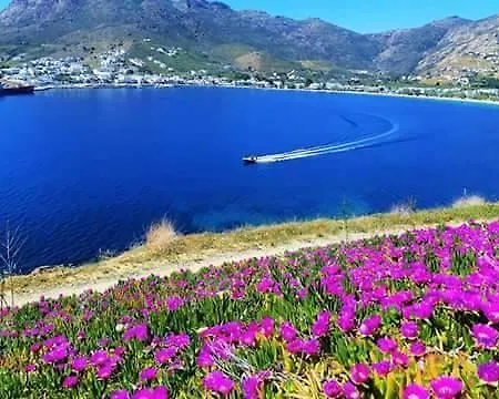 Gorgona * リバディオン