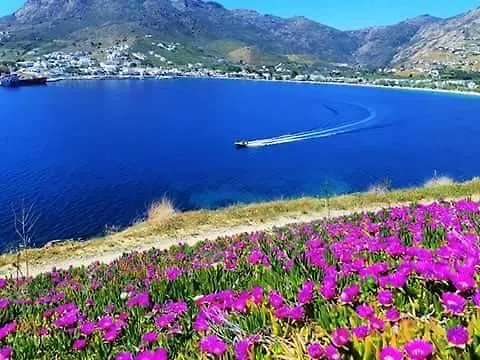 Gorgona Studios * Livadi (Serifos)